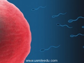 「分子避孕套」让精子无法穿透卵子，或提供男性避孕新方法