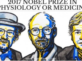 诺贝尔医学奖揭晓，授予三名研究生理时钟分子机制的科学家