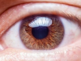 科学家成功培植眼角膜，治愈失明