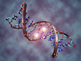 研究表明，全基因组分子检测可以指导复发性胶质母细胞瘤的治疗