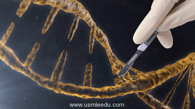 CRISPR-活胚胎基因