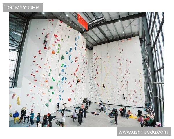 武汉攀岩队在攀岩联赛中的技术表现分析与点评