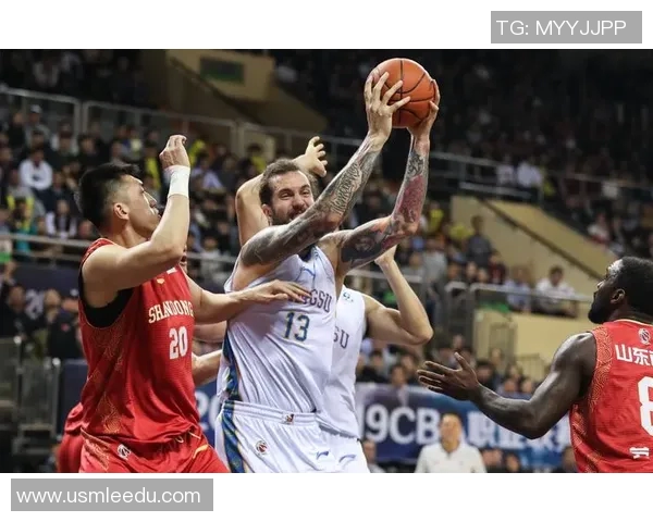 专访杨磊：深入探讨篮球领域成功的秘诀与经验分享