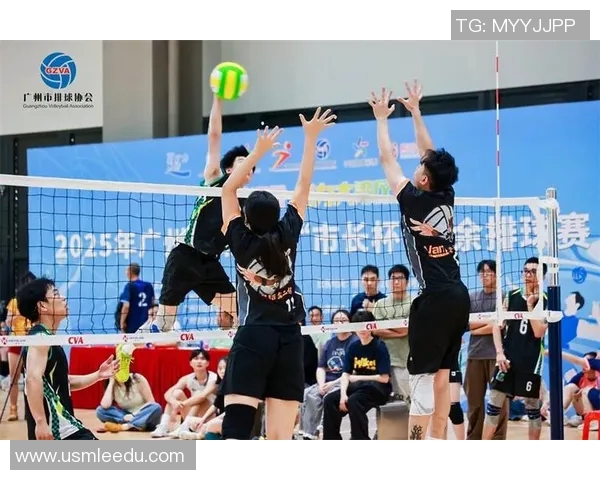 广州排球队在全国排球速度排行榜中荣获第七名的佳绩引发关注