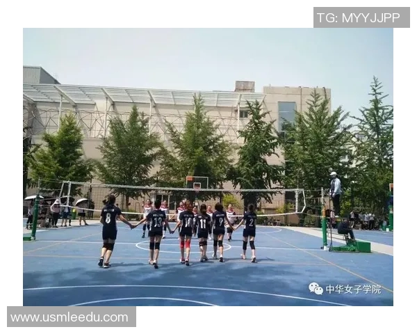 南京排球队在挑战赛中的实力展现与表现分析