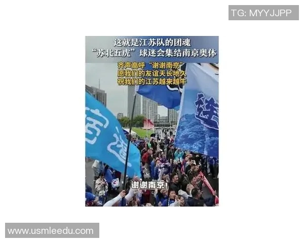 南京网球队实力引发热议球迷观点各异引发讨论