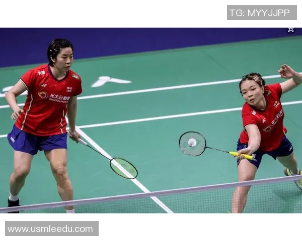 武汉羽毛球队与西安羽毛球队赛后复盘灵活性分析与战术对比
