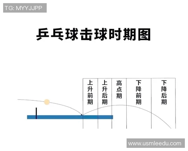 重庆乒乓球队的节奏揭秘：乒乓球巨献背后的故事与精神