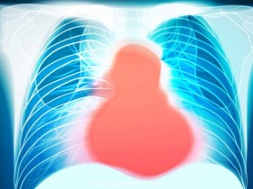 研究人员揭示了心脏病发作后重新开始心肌细胞复制的新方法